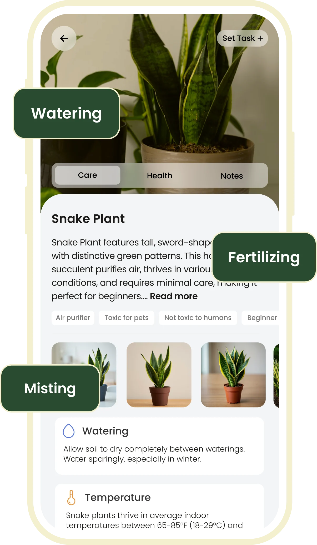 Personalized plant care plan in the Plant ID app