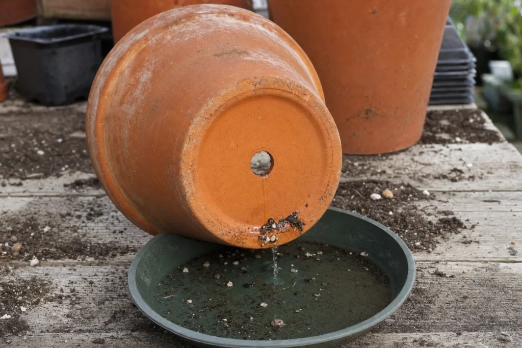 A terracotta pot tilted to show its drainage hole with water draining onto a saucer below.